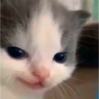 😈