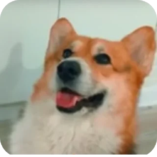 👍