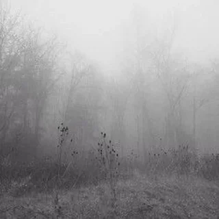 🌫