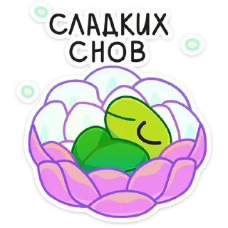 😴