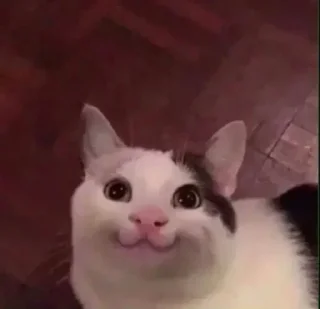 😭