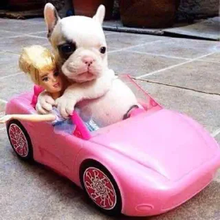 🚗