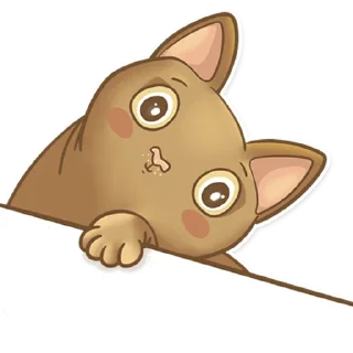 😻