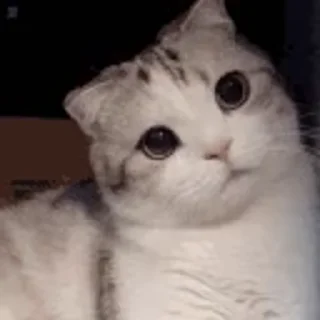 🤔