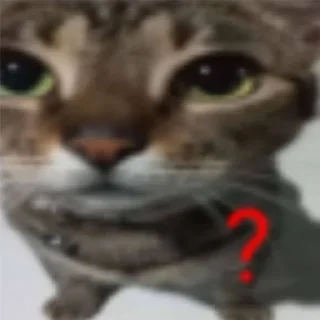 ❓