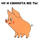 🐷