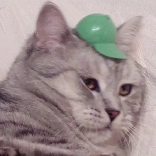 🧢
