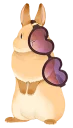 🐰
