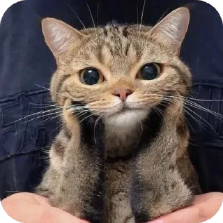 🥰