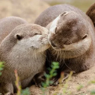 😘