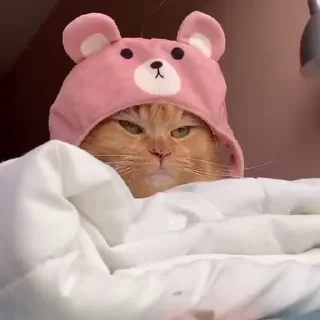 😠