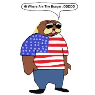 🇺🇸