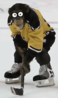 🏒