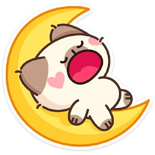 😴