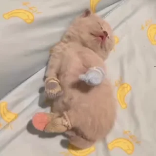 😴