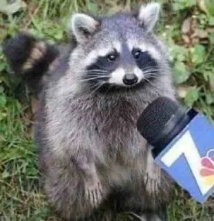 🎤