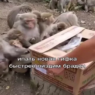 😧