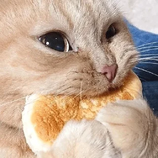 🥞