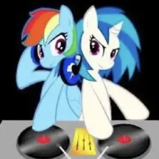 💿