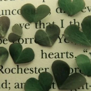 ☘