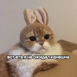 🤓