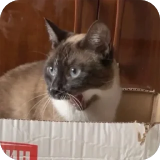 😮