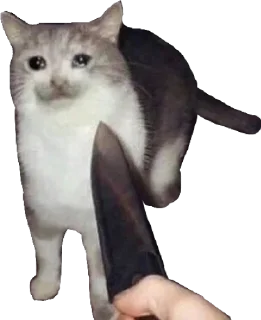 😧