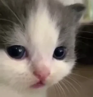 😐