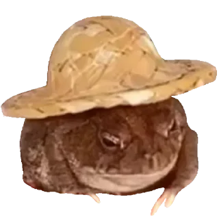 🐸