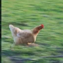 🚶