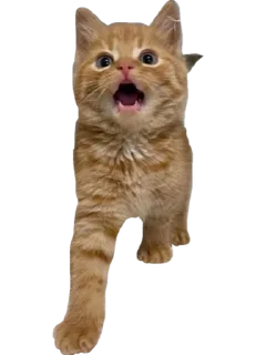 😨