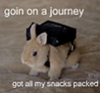 🎒