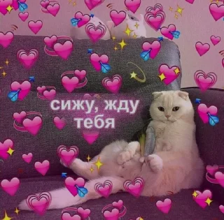 💗