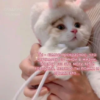 💗