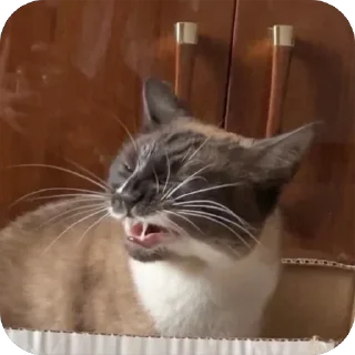 😡