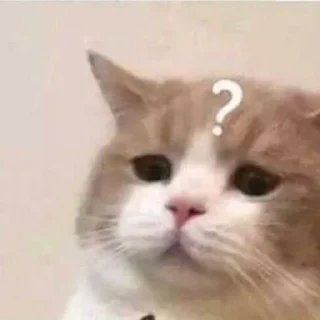 🤨