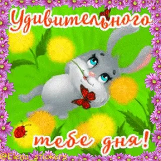 🐇