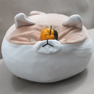 🍊