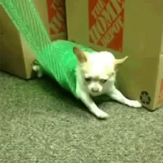 🙄