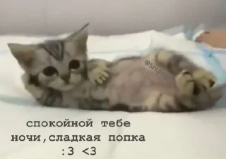 🤍