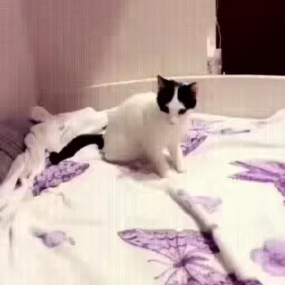 😁