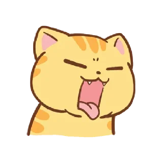 🐱