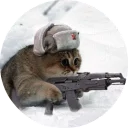🐱