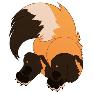 🦊