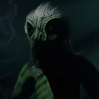 🕸️
