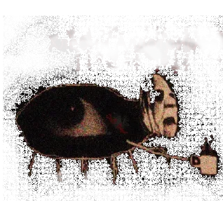 👁
