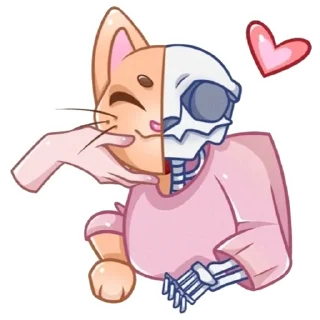 😽