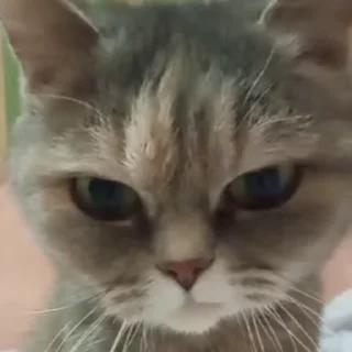 🤯