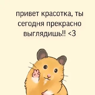 💗