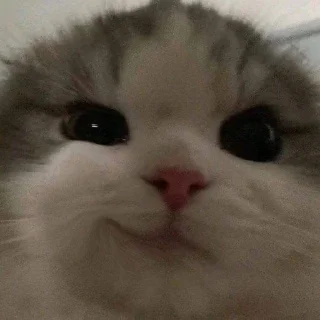 🤯